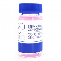 Lendan Active concentrates ампула Стволови клетки 10 мл
